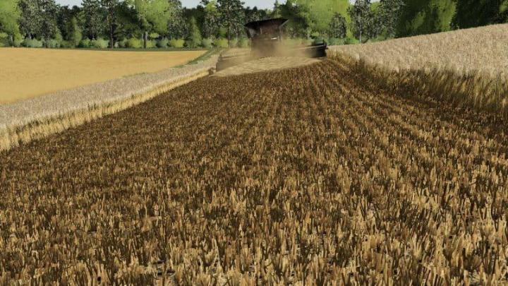 FS19 – Barley / Wheat Texture V1