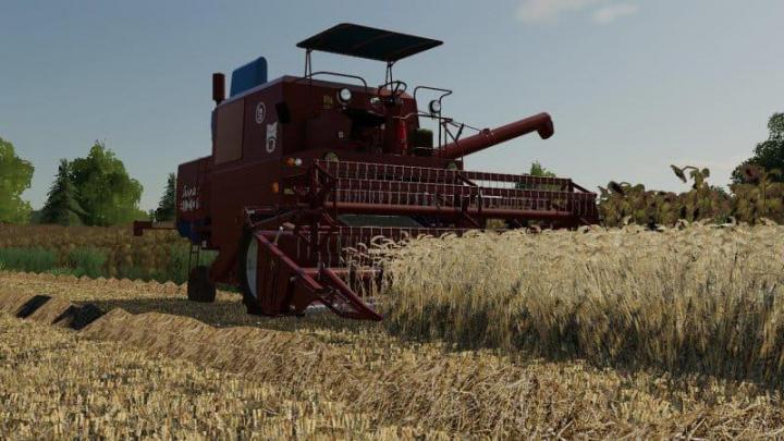 FS19 – Barley / Wheat Texture V1