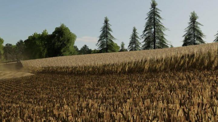 FS19 – Barley / Wheat Texture V1