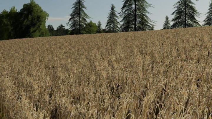 FS19 – Barley / Wheat Texture V1