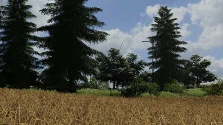 Dense Grain Texture V1.0 FS19