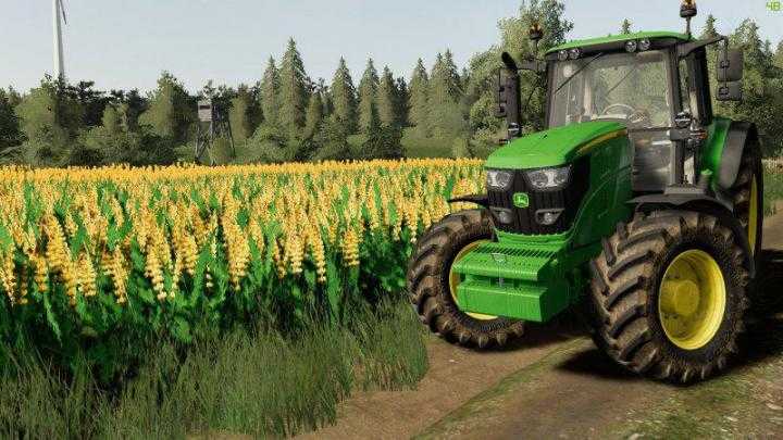 Tekstura Lubinu V1.0 FS19