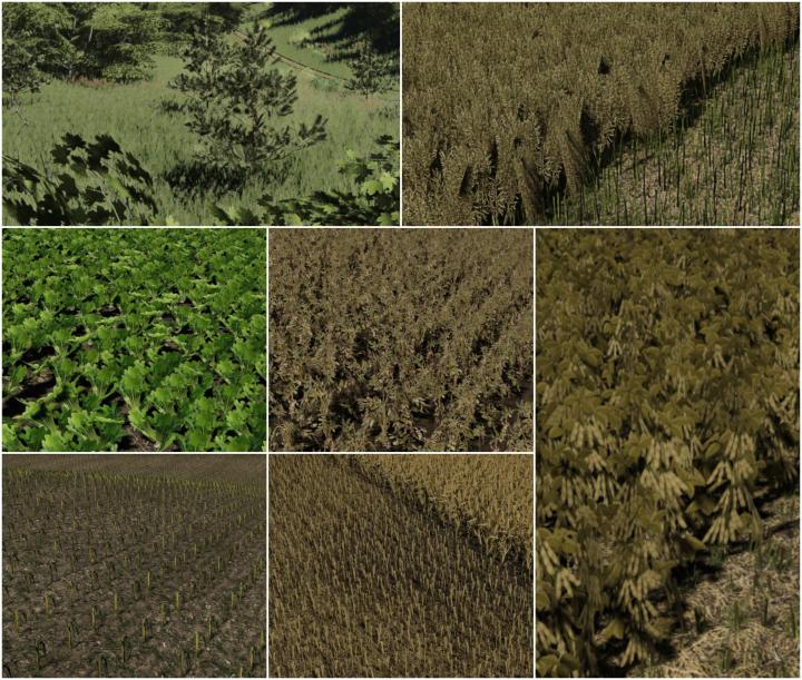 FS19 – Textures Pack V1