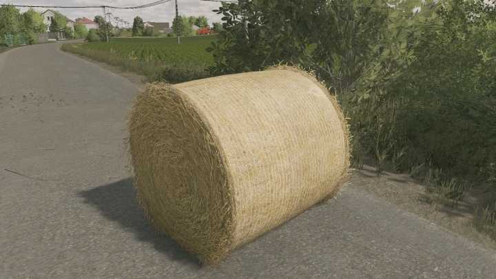 FS22 – Bale Texture 125Cm V1.0.0.1