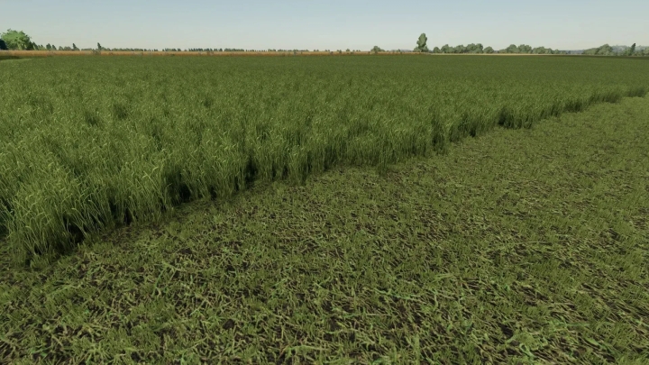 FS22 – Grass Texture V1.0