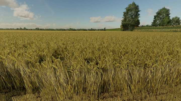 FS22 – Wheat Texture V1.0.0.1