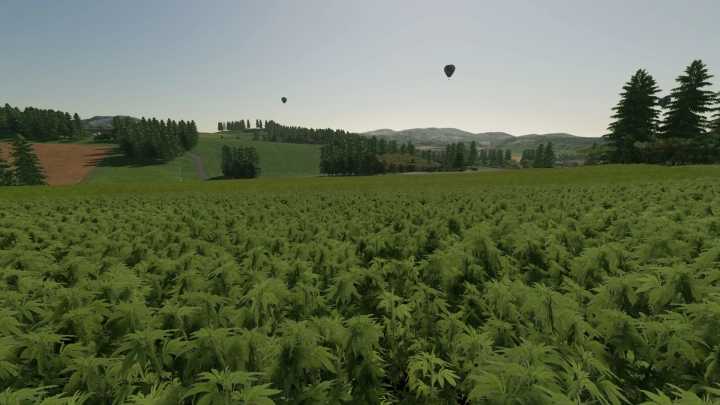 FS22 Hemp Beyleron V1.0