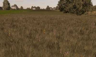 FS22 Текстура Луга V1.0