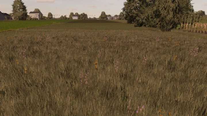 FS22 Meadow Texture V1.0