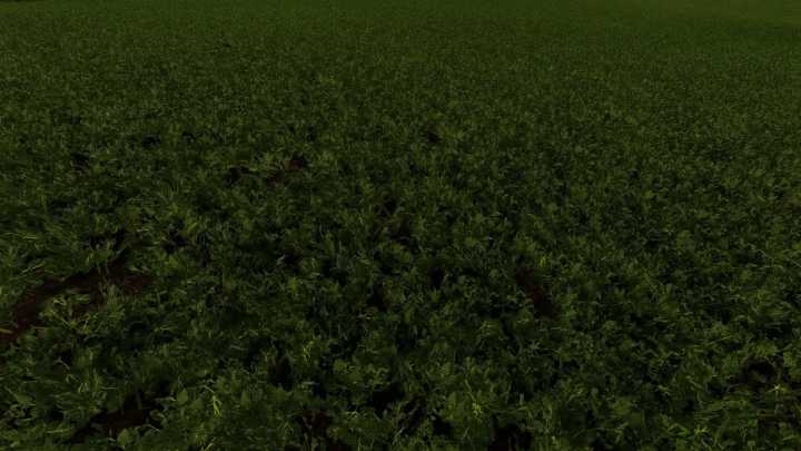 FS22 Raps Texture V1.0