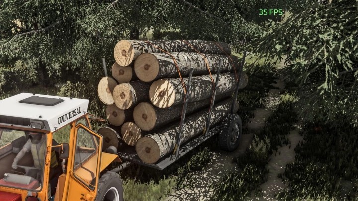 FS22 Romanian Wood Trailer V1.0