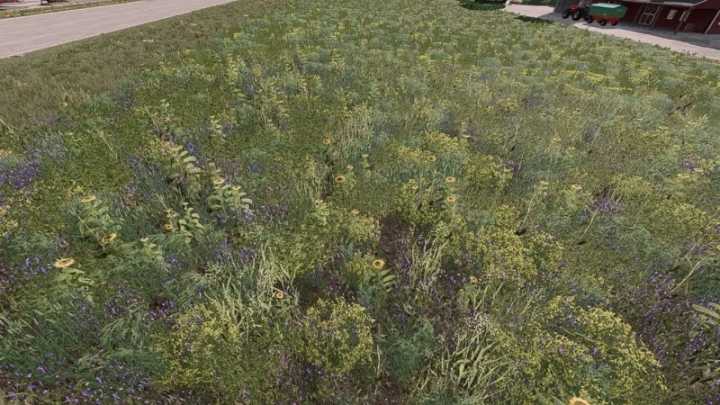 FS22 New Oil Radish V1.0