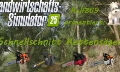 Бензопила FS25 Fastcut V1.0