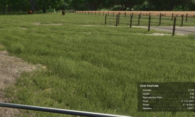 FS25 Info Display Extension V1.0