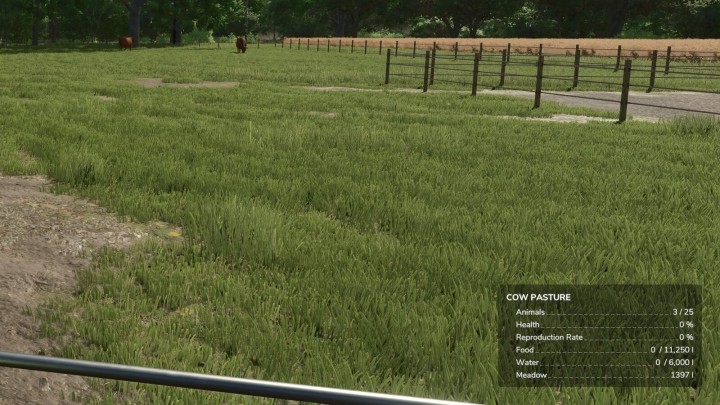 FS25 Info Display Extension V1.0