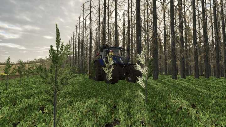 FS25 No Tree Limit V1.0