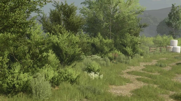 Bush Texture (Decobush) V1.0