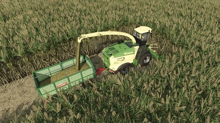 Collect 900 For Sugarcane And Poplar V1.0