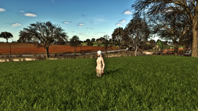 FS25 - More Beautiful Grass V1.0